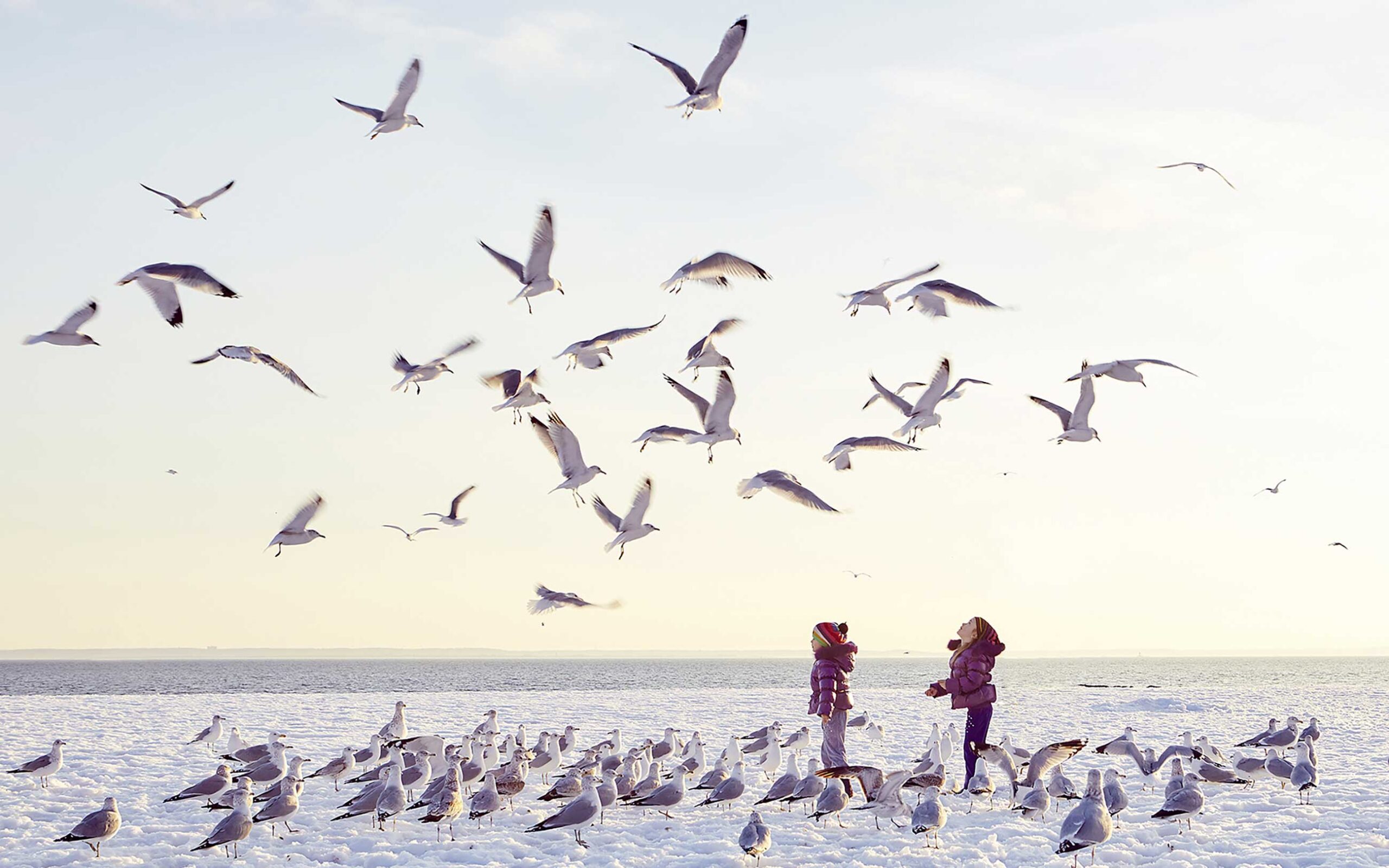 41_-Brighton-Beach-NY